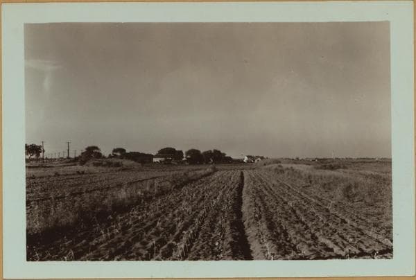 Farming - Queens., 1927–1940