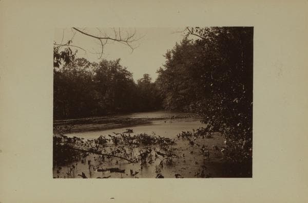 Cameron Lake - Staten Island, 1911