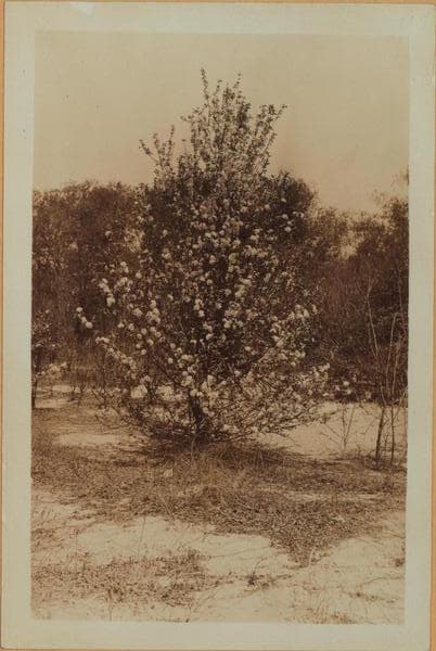 Richmond: Arthur Kill Road - Clay Pit Road, 1929–1930