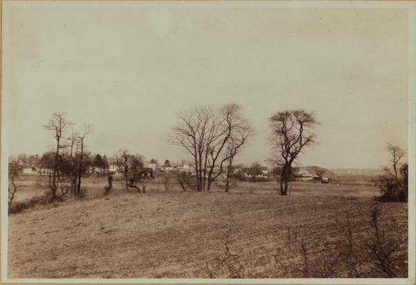 Queens: Colonial Avenue - 62nd Drive, 1924–1926