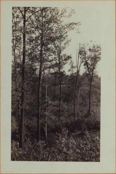 Richmond: Clove Road - Fingerboard Road, 1926