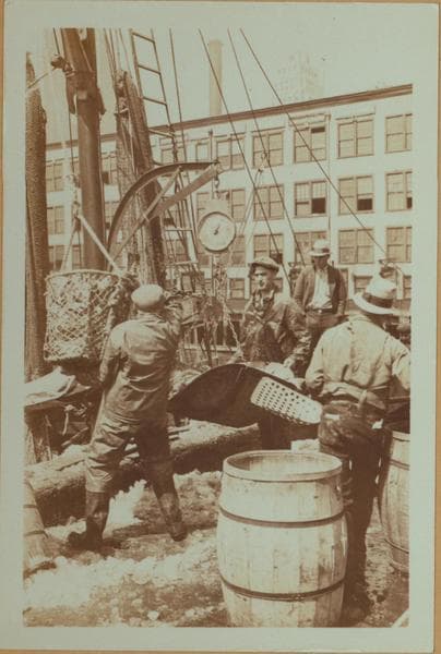 Fulton fish market docks in Manhattan - [Hoisting fish from schooner.], 1934