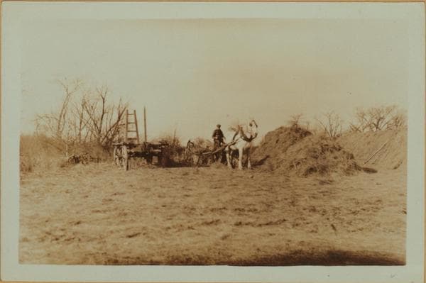 Farming on Staten Island, 1931