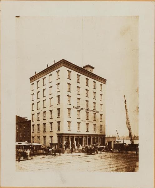 Brooklyn: Fulton Street - Furman Street, 1880