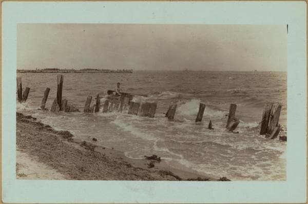 Islands - Barren Island - Jamaica Bay (Queens) - [Excursion steamer Sea Bird.], 1931