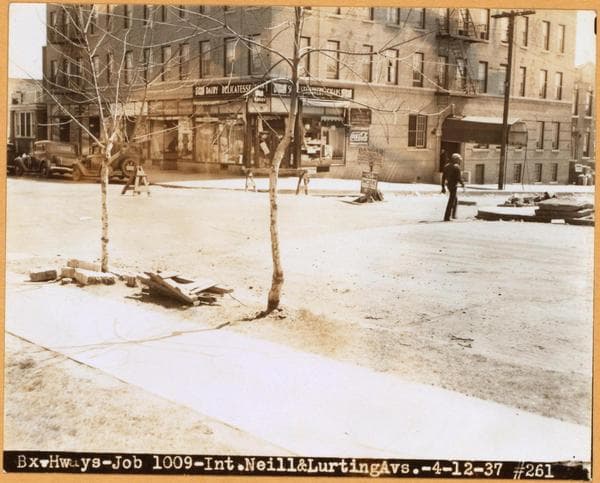 Bronx: Neill Avenue - Lurting Avenue, 1937