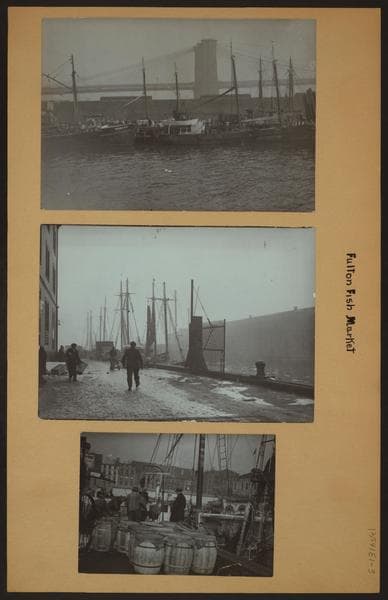 Fulton fish market in Manhattan - [North dock - East River Pier No.18.]