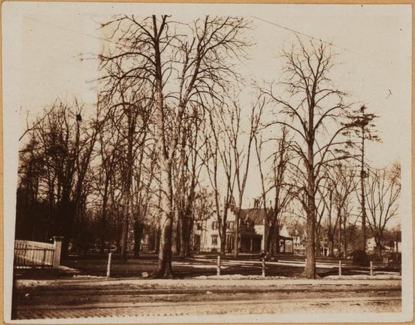 Brooklyn: Flatbush Avenue - Maple Street, 1923