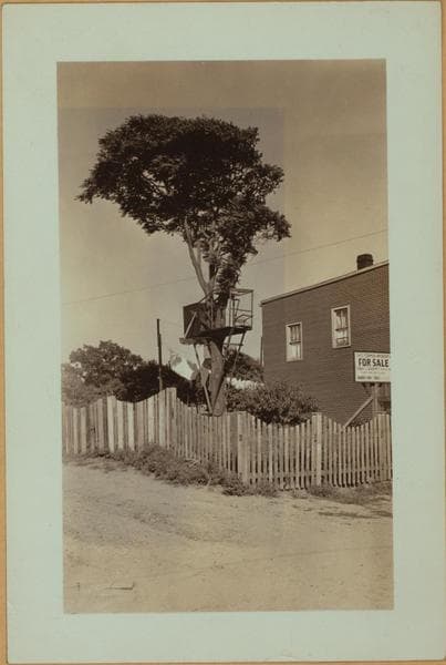 Recreation and hobbies - Bird raising., 1922–1935