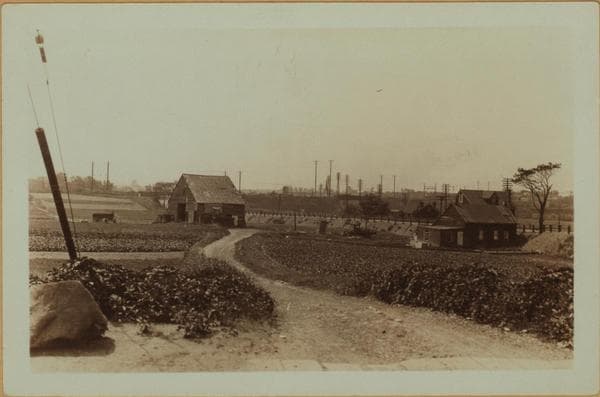 Farming - Queens., 1927–1940
