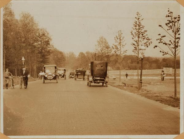 Bronx: Bronx and Pelham Par - Williamsbridge Road, 1914