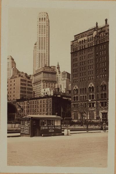 Manhattan: South Street - Coenties Slip, 1932–1933