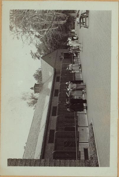 Richmond: Barrett Park - [Barrett Park Menagerie.], 1937