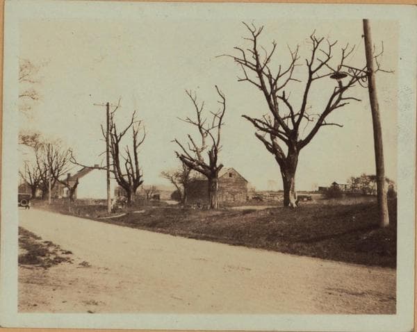 Queens: 66th Avenue - Fitchett Street, 1923–1925