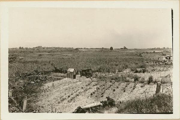 Queens: Juniper Valley Park., 1935