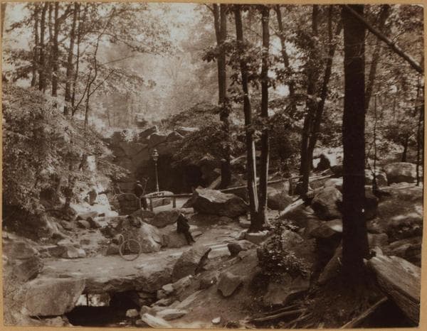 Manhattan: Central Park - Miscellaneous., 1904–1932