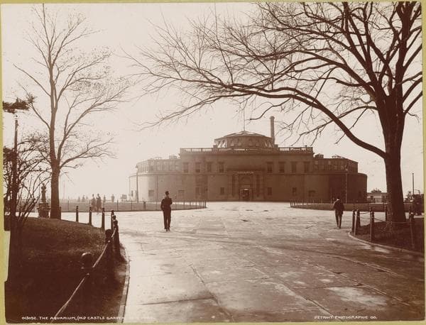 Manhattan: Battery Park - the Aquarium (Old Castle Garden)., 1900