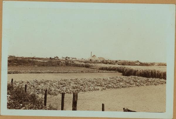 General View - Brooklyn - New Jersey Avenue - Wortman Avenue., 1924