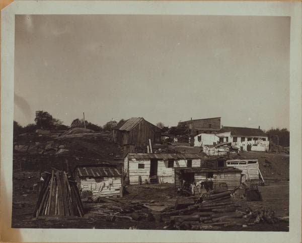 Manhattan: Madison Avenue - 100th Street, 1894