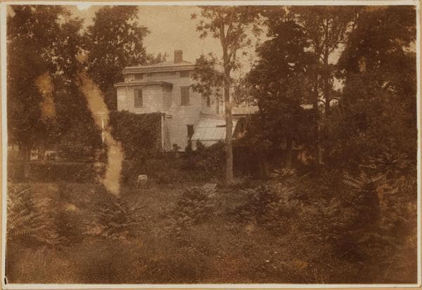 Brooklyn: Park Place - Nostrand Avenue, 1895