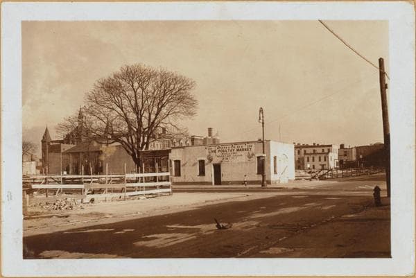 Brooklyn: Scholes Street - Humboldt Street, 1934–1935