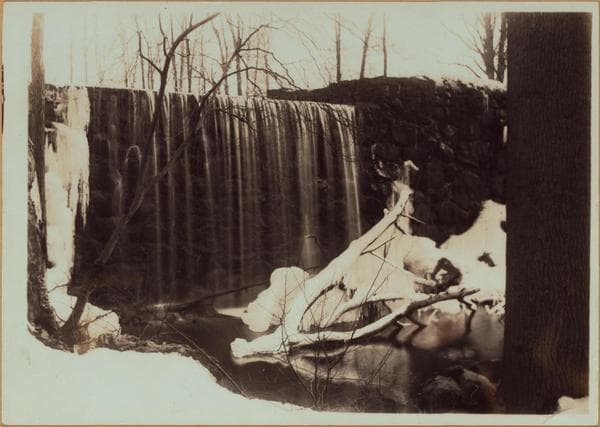 Richmond:] Staten Island - Clove Lakes Park - Brook's Falls., 1910