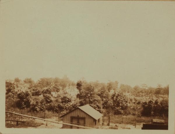 Cemeteries - Lutheran Cemetery (old) - Queens., 1922–1925