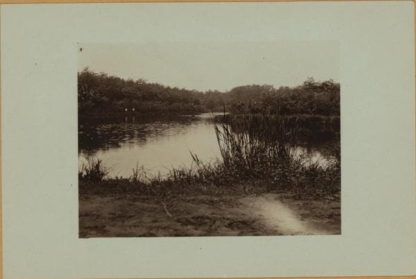 Flagg's pond - Staten Island - [Ernest Flagg property.], 1926