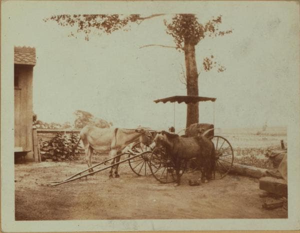 Transportation - Coaches - [Brooklyn]., 1922