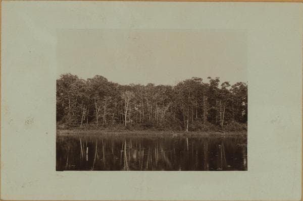 Flagg's pond - Staten Island - [Ernest Flagg property.], 1926