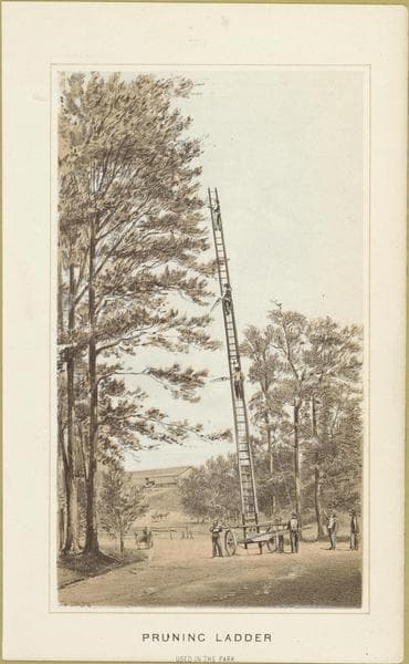 Brooklyn: Prospect Park., 1860