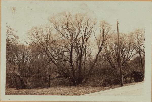 Richmond: Arthur Kill Road - Rossville Avenue, 1932–1937