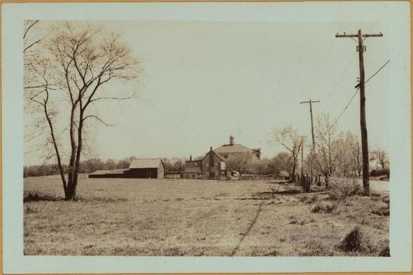 Richmond: Rossville Avenue - Knesel Street, 1937