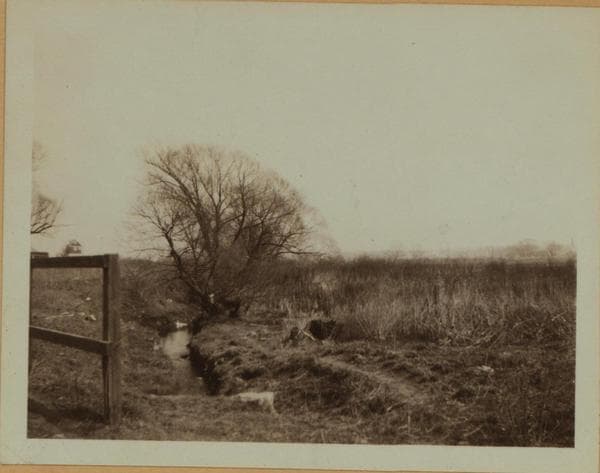 Horse Brook - Queens - [56th Avenue - Between Justice Avenue and Queens Boulevard.], 1923–1929