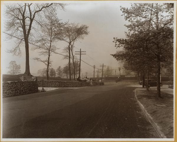 Bronx: Van Cortlandt Park., 1931