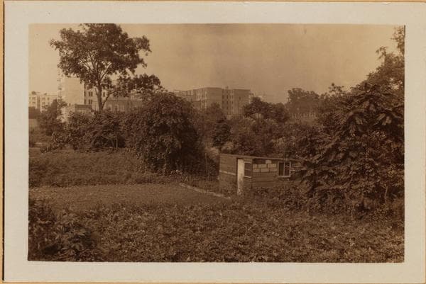 Bronx: White Plains Road - Brady Avenue, 1928