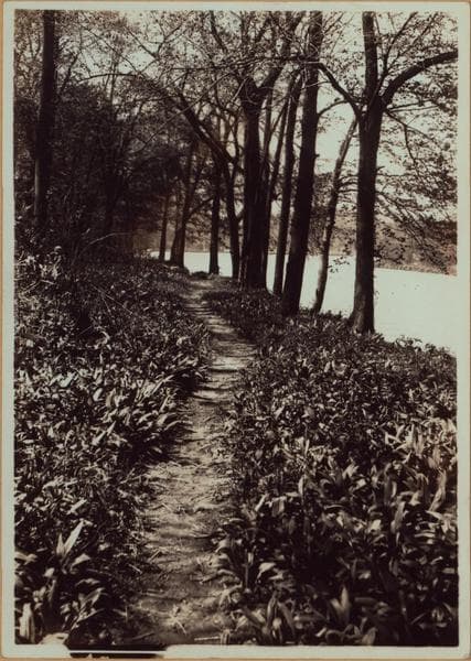 Richmond:] Staten Island - Clove Lakes Park - [View of Lovers' path and Clove Lake, formerly known as Britton's Pond., 1910