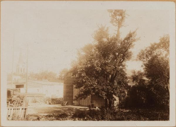 Brooklyn: Erasmus Street - Rogers Avenue, 1922