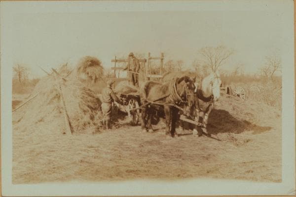Farming on Staten Island, 1931–1936