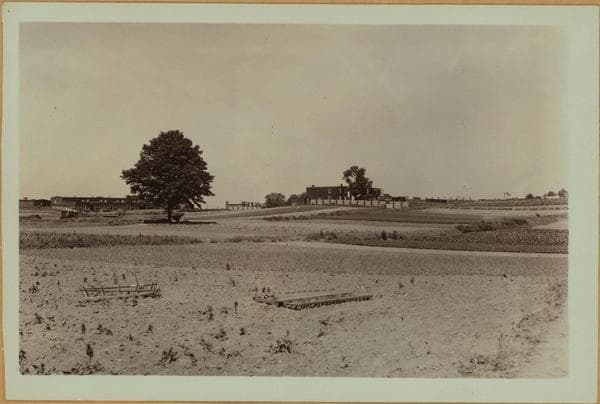 Farming - Queens., 1935