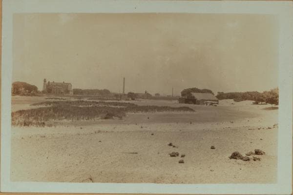 Islands - Barren Island - [Old Public School No. 120 - Horse disposal plant.], 1931