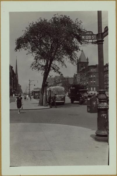 Manhattan: Lenox Avenue - 120th Street: Left photo: View 1, Lenox Avenue, e. s., n. fr. 120th Street. View 2, Lenox Avenue, e. s., n. fr. 120th Street., 1941-07-09
