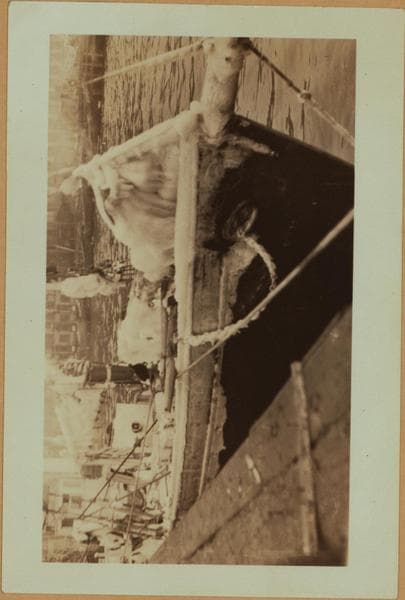 Fulton fish market - [Trawler Sadie Nickerson.], 1923–1924
