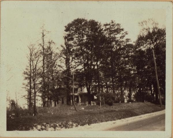 Queens: Hollis Avenue - 198th Street, 1923