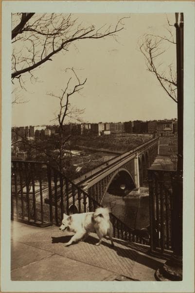 Bridges - High Bridge - [Harlem River - Highbridge water tower.], 1934