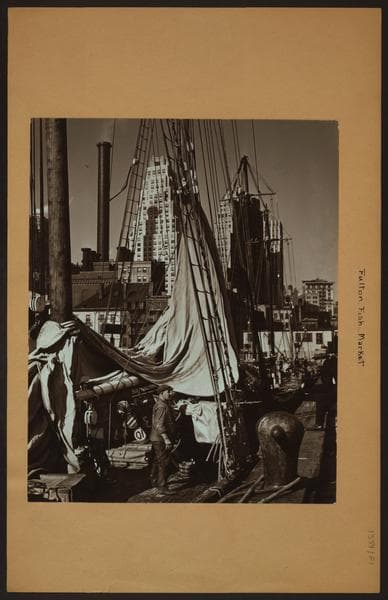 Fulton fish market in Manhattan - [Fishing vessels.]