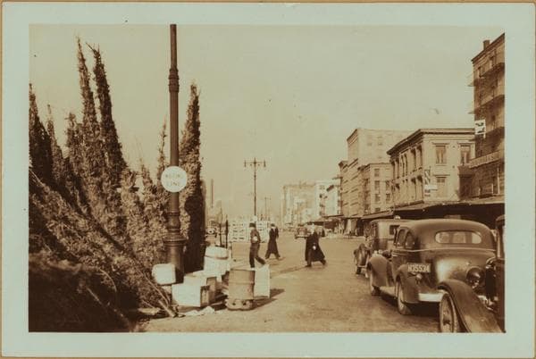 Occupations - Peddlers - Christmas trees., 1937
