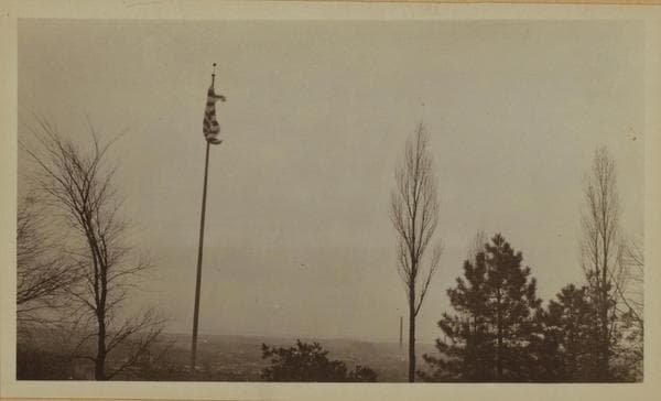 General view - Brooklyn - East New York looking south from Highland Park., 1916