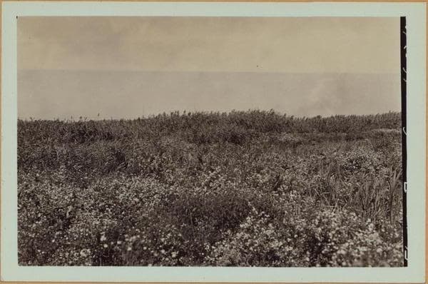 Queens: Flushing Meadow Park - [Roosevelt Avenue - Northern Boulevard.], 1935