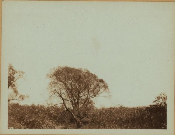 Horse Brook - Queens - [56th Avenue - Between Justice Avenue and Queens Boulevard.], 1923–1929